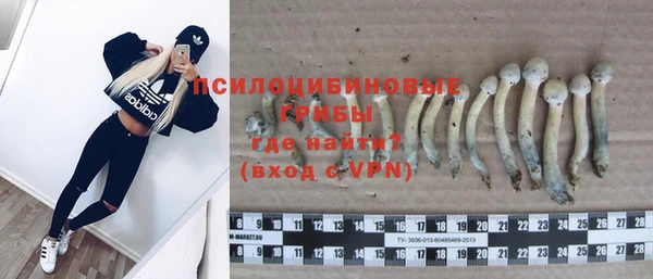 СК Липки