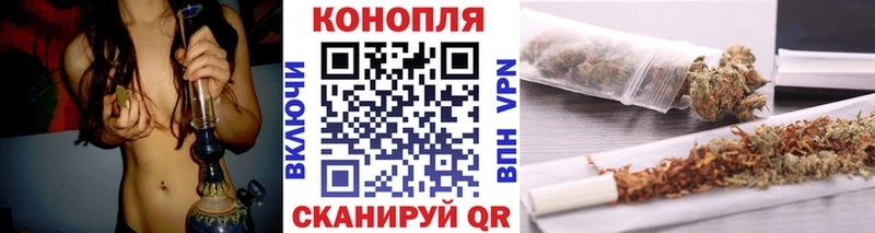 купить наркоту  Снежногорск  Шишки марихуана марихуана 